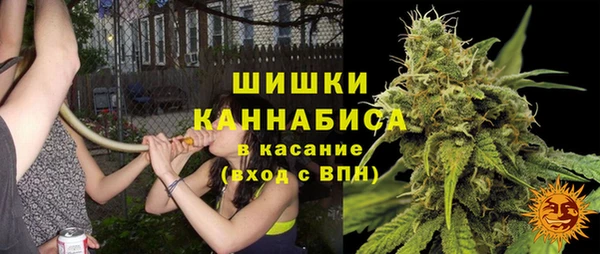 apvp Верея