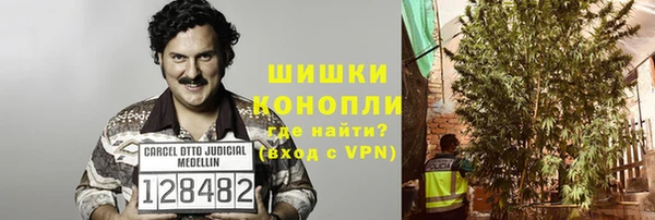 МДПВ Верхний Тагил