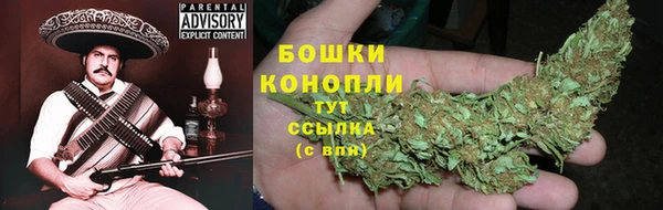 apvp Верея