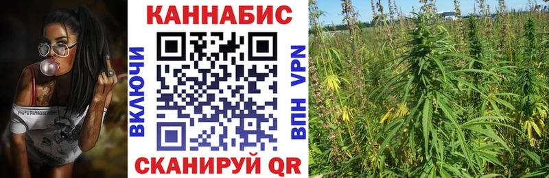 Купить  Великий Устюг  Бошки Шишки Amnesia 
